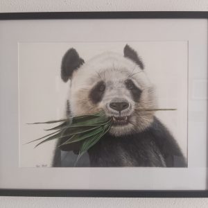 Panda Drawing - Framed