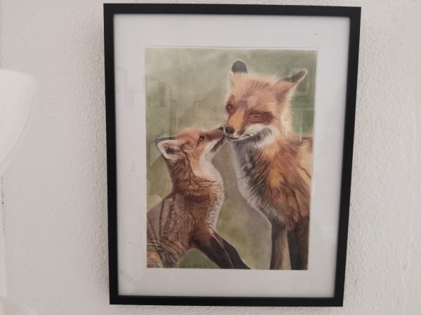 Fox & Cub Pencil Drawing Framed